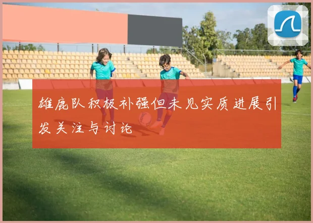 雄鹿队积极补强但未见实质进展引发关注与讨论