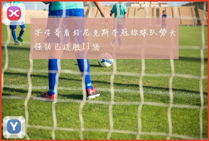 字母哥看好尼克斯夺冠称球队势头强劲已连胜11场