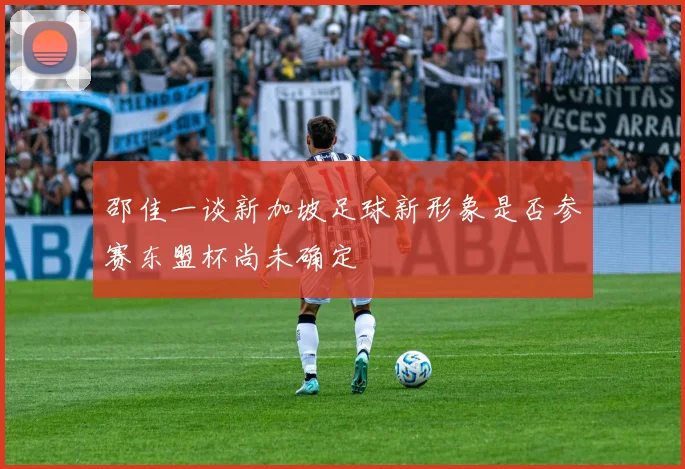邵佳一谈新加坡足球新形象是否参赛东盟杯尚未确定