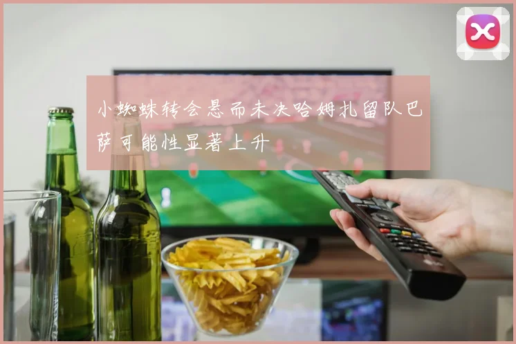 小蜘蛛转会悬而未决哈姆扎留队巴萨可能性显著上升